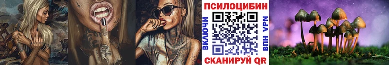 Псилоцибиновые грибы Psilocybine cubensis  Ленск 